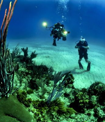 Plongée sous marine 