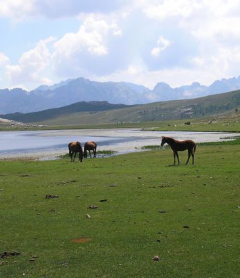 Piscine naturelle Lac de Nino 