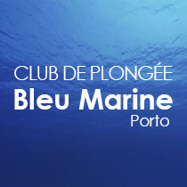 bleu-marine